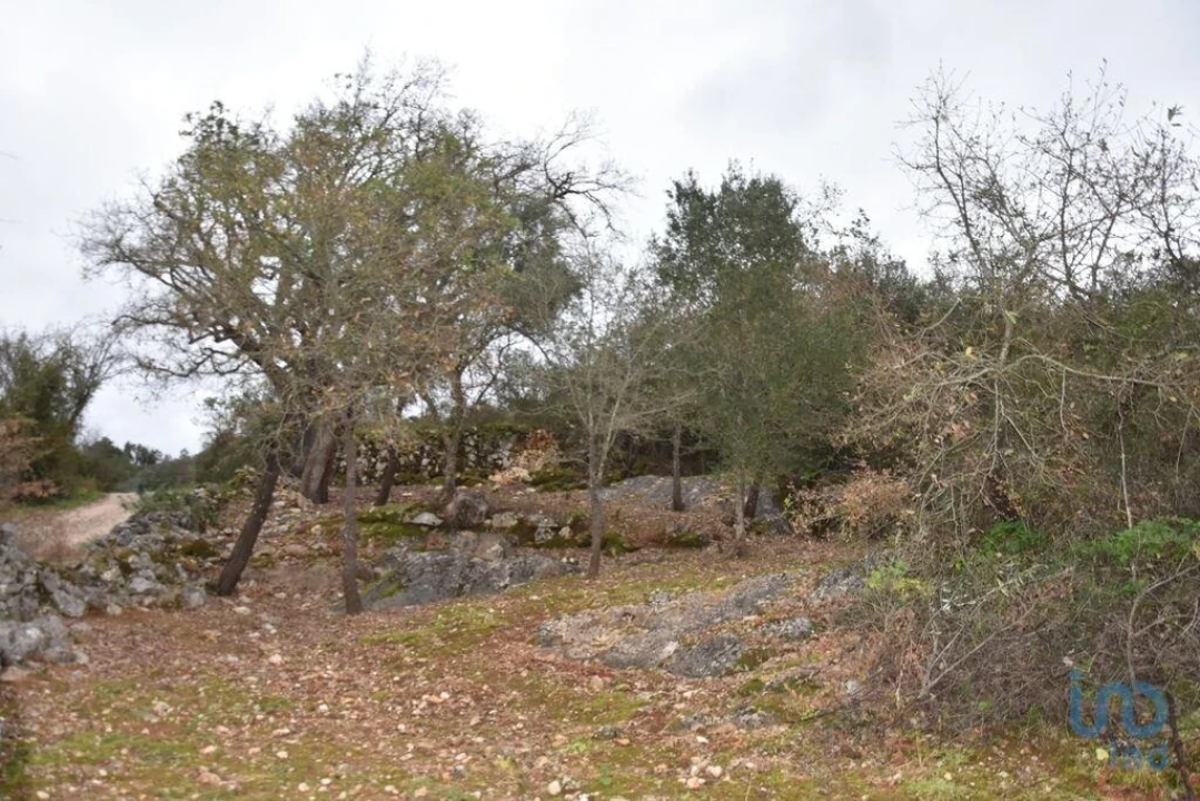 Terreno para Venda em Chãos Foto 3