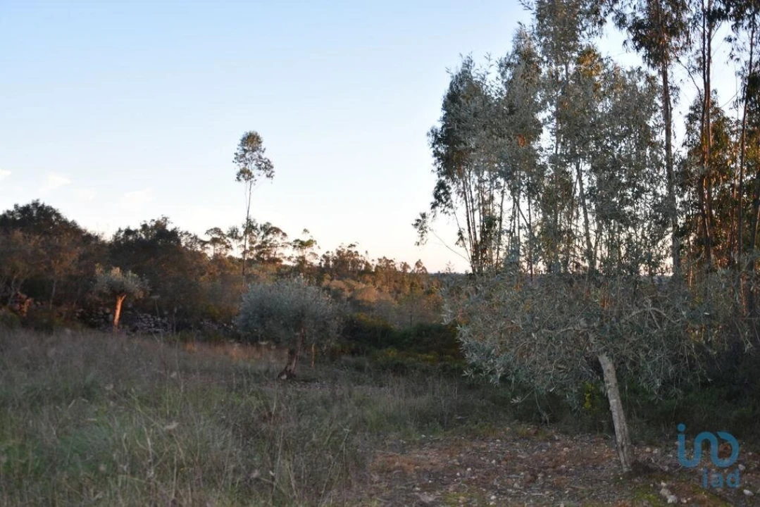 Terreno para Venda em Chãos Foto 11