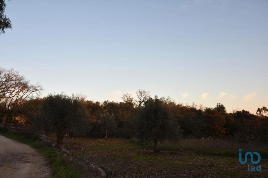 Terreno para Venda em Chãos Foto 15