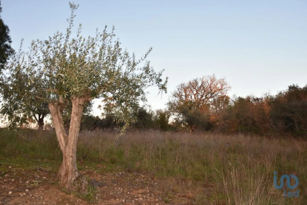 Terreno para Venda em Chãos Foto 13