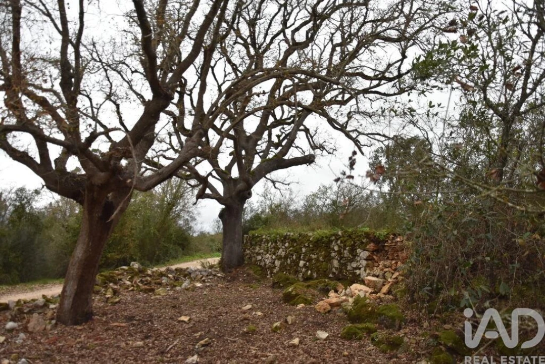 Terreno para Venda em Chãos Foto 23