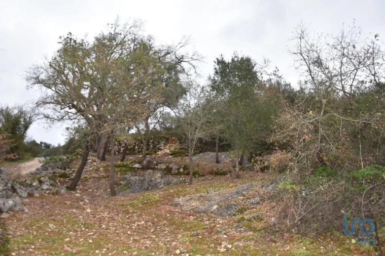 Terreno para Venda em Chãos Foto 3
