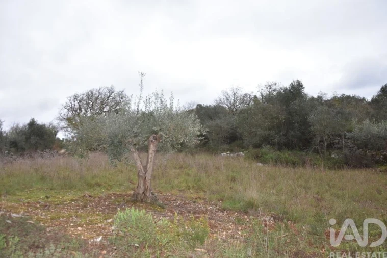 Terreno para Venda em Chãos Foto 19