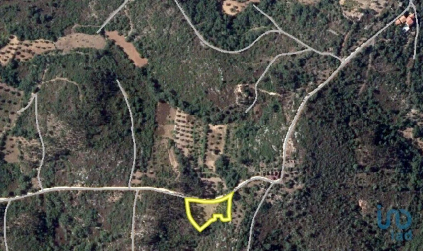 Terreno para Venda em Chãos