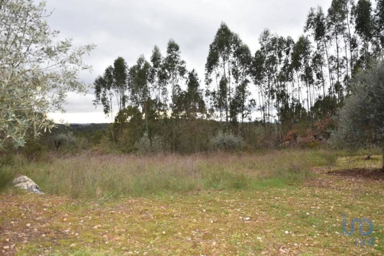 Terreno para Venda em Chãos Foto 6