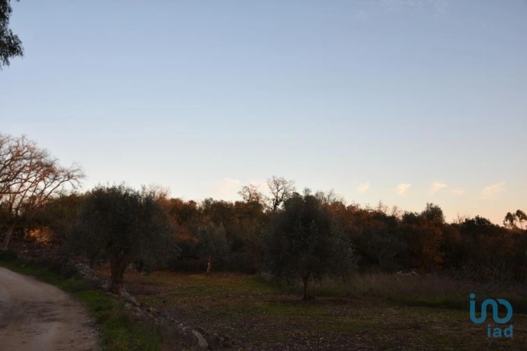 Terreno para Venda em Chãos Foto 15