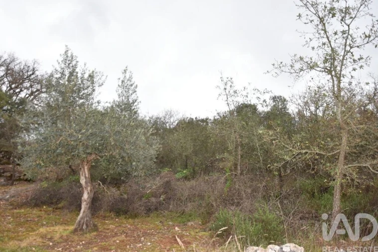 Terreno para Venda em Chãos Foto 21