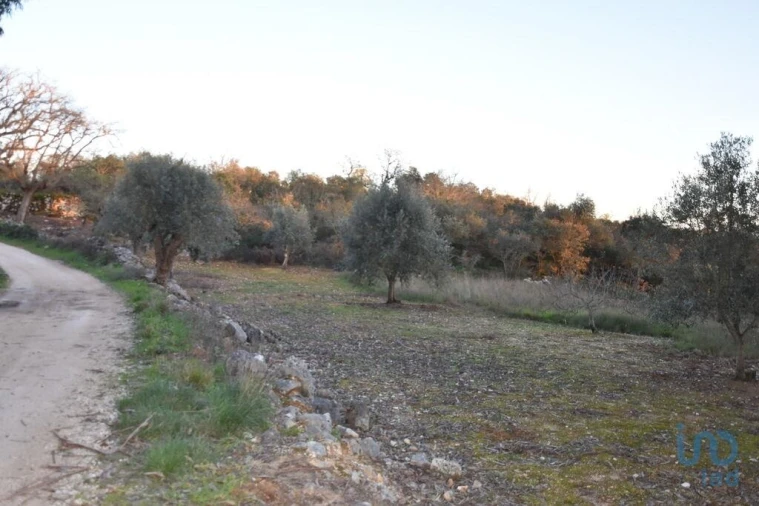 Terreno para Venda em Chãos Foto 9