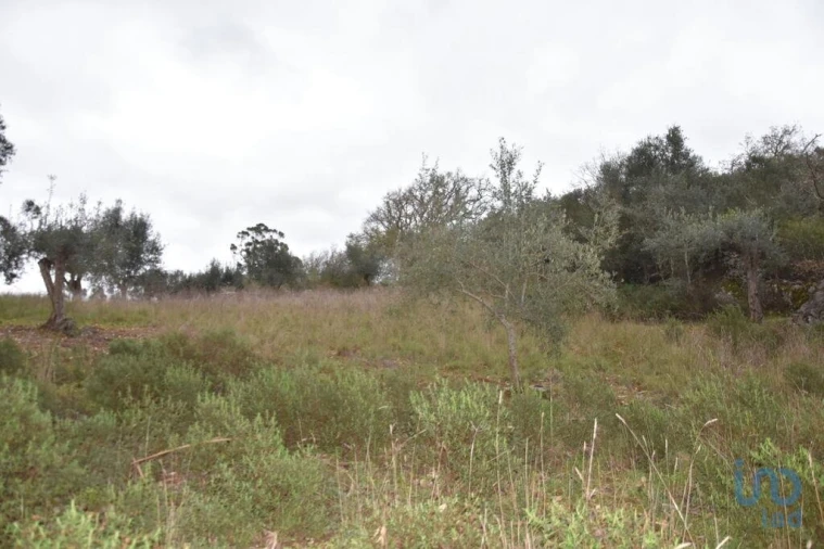 Terreno para Venda em Chãos Foto 5