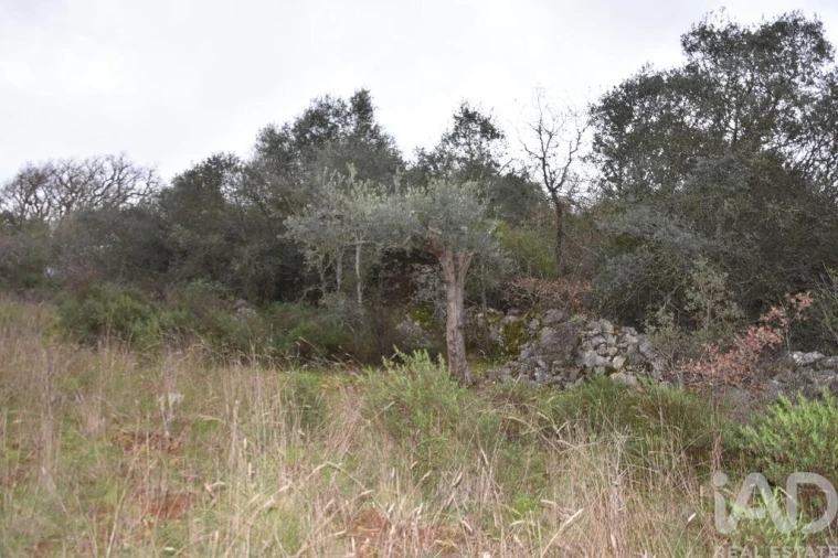 Terreno para Venda em Chãos Foto 20