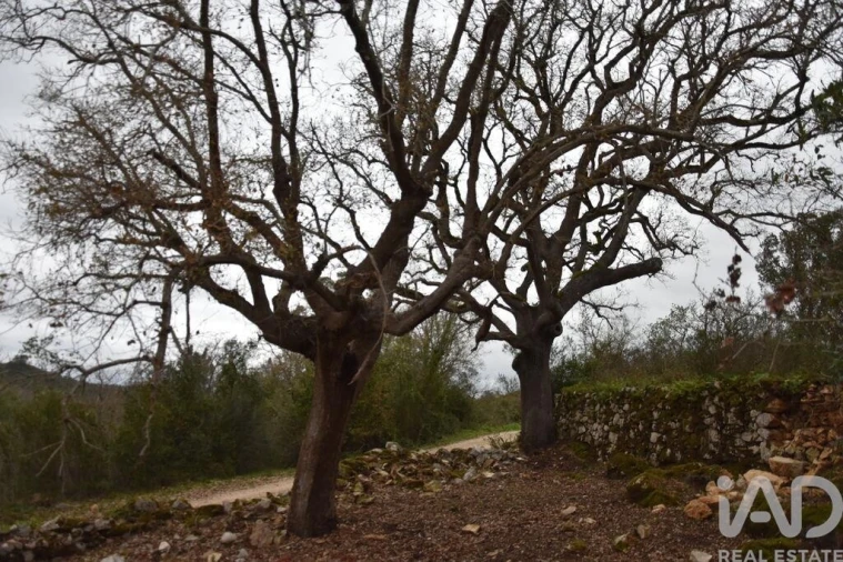 Terreno para Venda em Chãos Foto 22