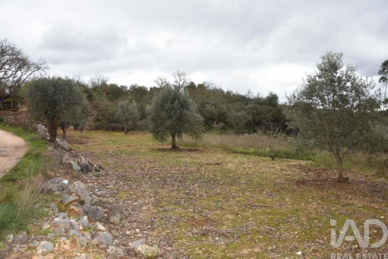 Terreno para Venda em Chãos Foto 17