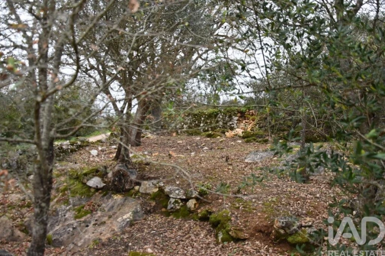 Terreno para Venda em Chãos Foto 24