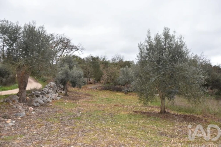Terreno para Venda em Chãos Foto 26