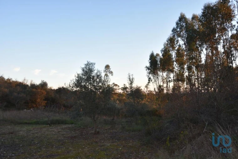 Terreno para Venda em Chãos Foto 10