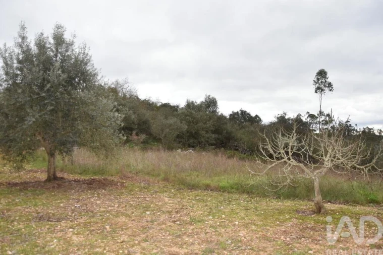 Terreno para Venda em Chãos Foto 25