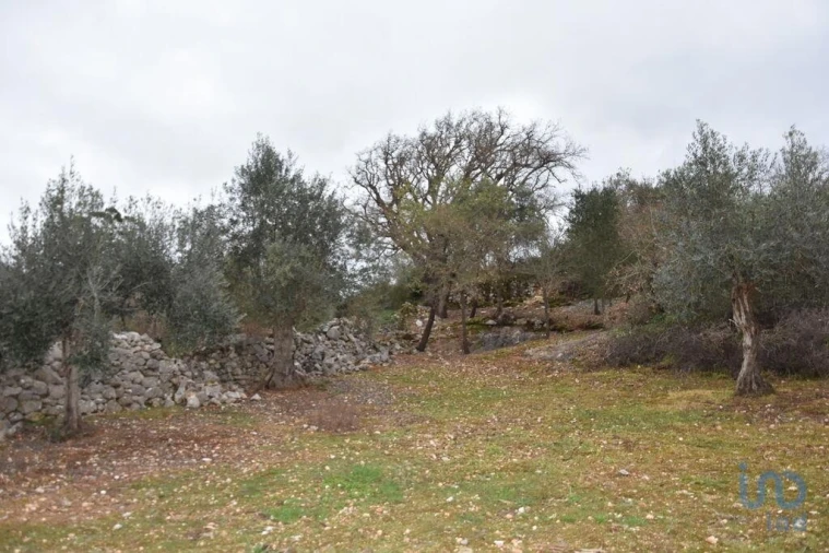 Terreno para Venda em Chãos Foto 7