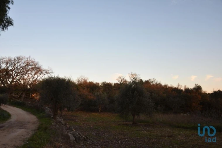 Terreno para Venda em Chãos Foto 14