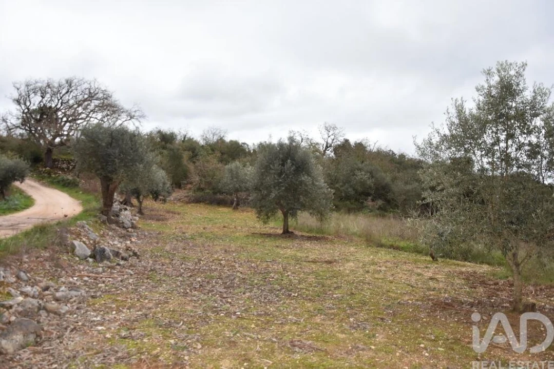 Terreno para Venda em Chãos Foto 18