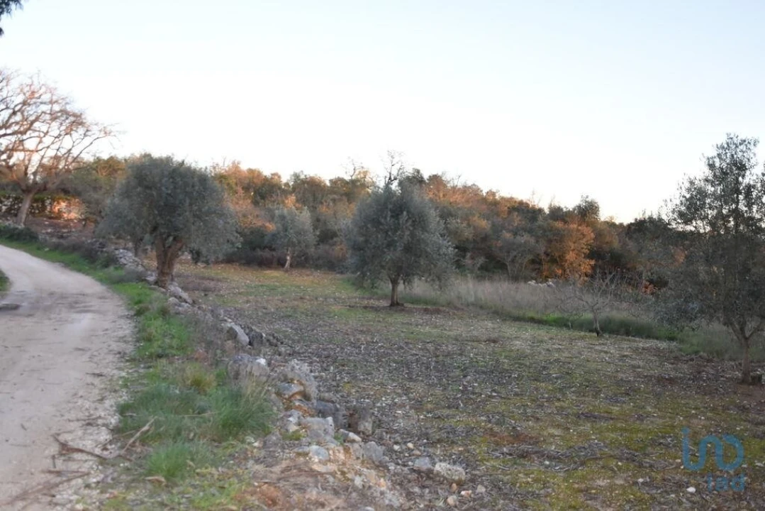 Terreno para Venda em Chãos Foto 9