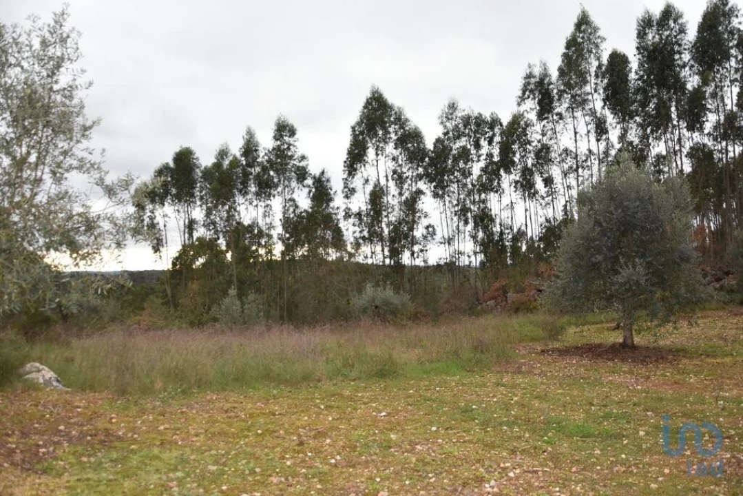 Terreno para Venda em Chãos Foto 4