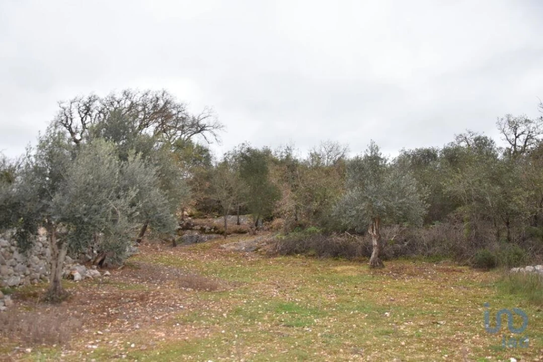 Terreno para Venda em Chãos Foto 8