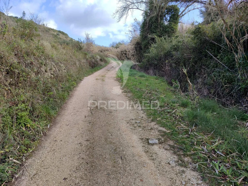 Terreno para Venda em Ribafria e Pereiro de Palhacana Foto 4