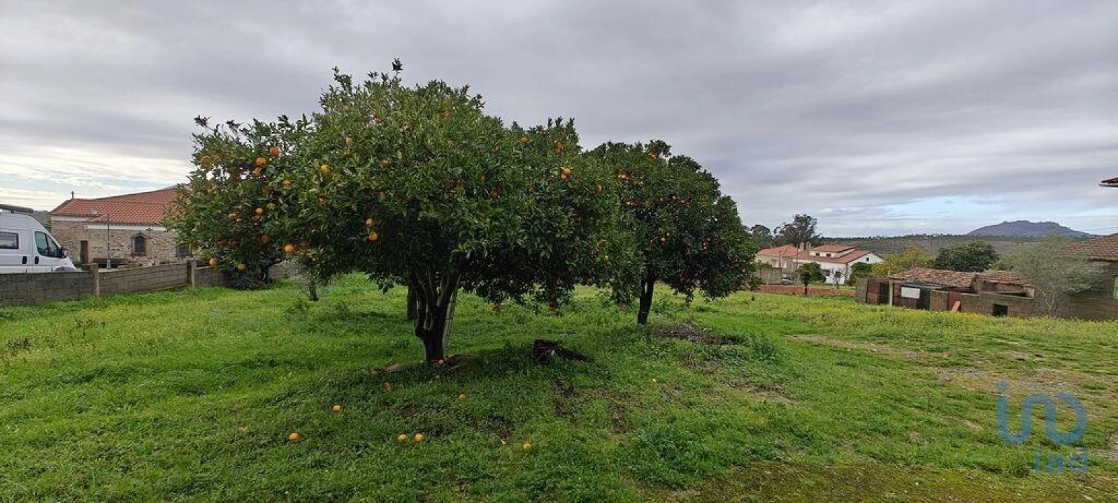 Moradia T5 para Venda em Penha Garcia Foto 6