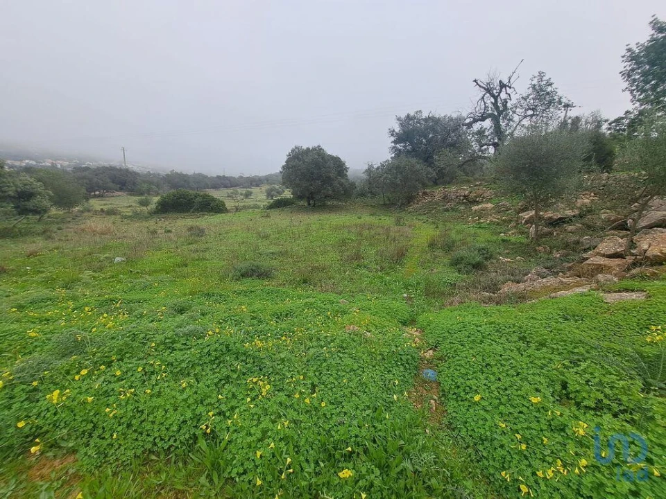 Terreno para Venda em São Brás de Alportel Foto 9
