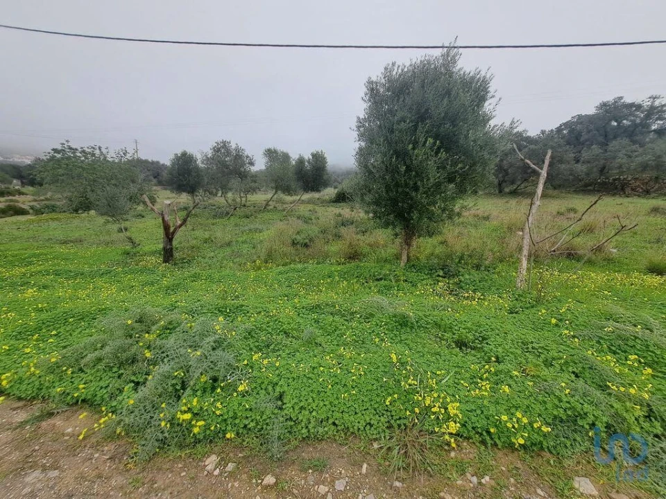 Terreno para Venda em São Brás de Alportel Foto 6