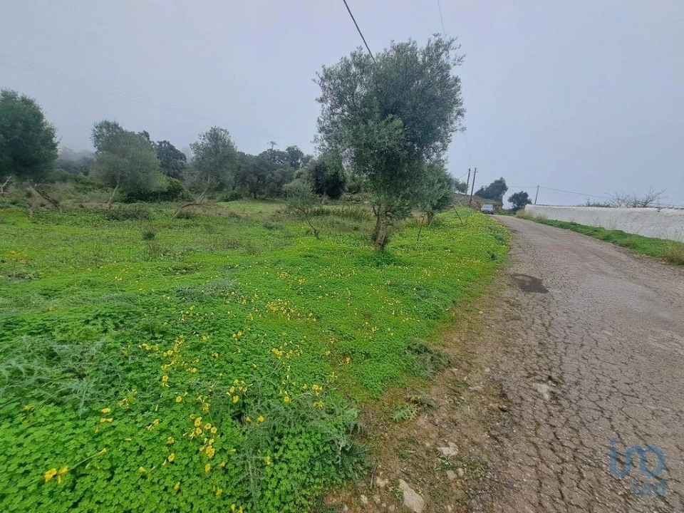 Terreno para Venda em São Brás de Alportel Foto 1