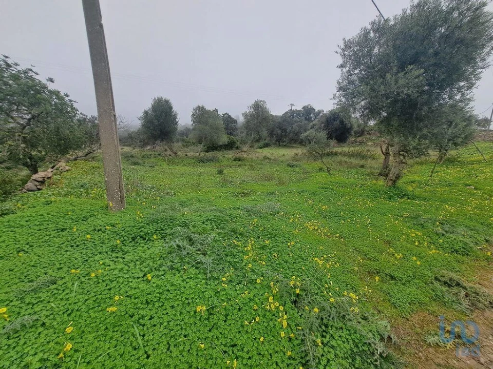 Terreno para Venda em São Brás de Alportel Foto 4