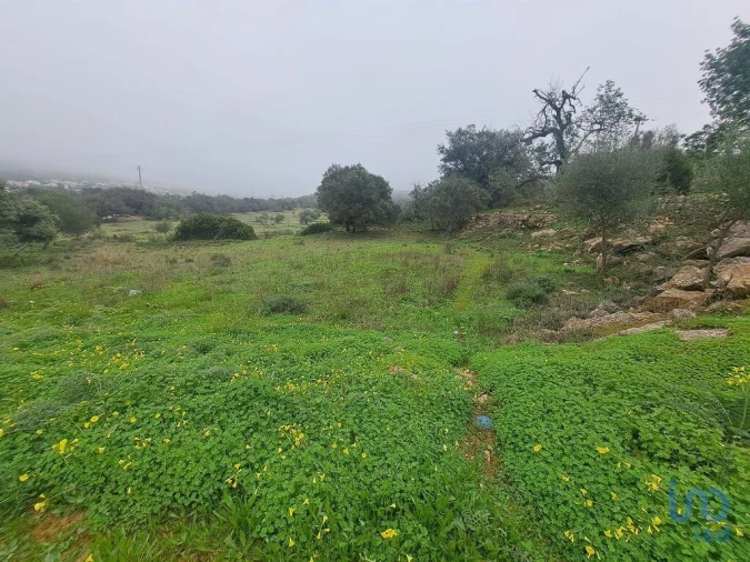 Terreno para Venda em São Brás de Alportel Foto 9