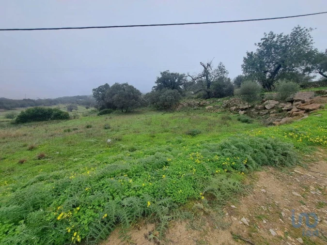 Terreno para Venda em São Brás de Alportel Foto 8