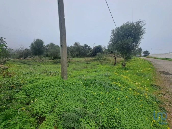 Terreno para Venda em São Brás de Alportel Foto 3