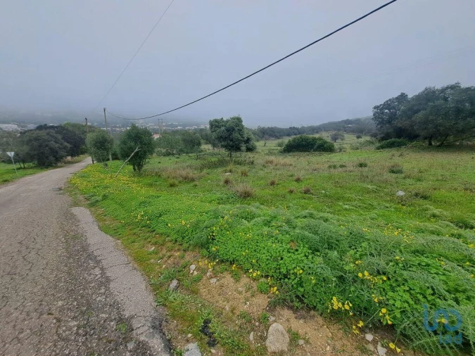 Terreno para Venda em São Brás de Alportel Foto 10