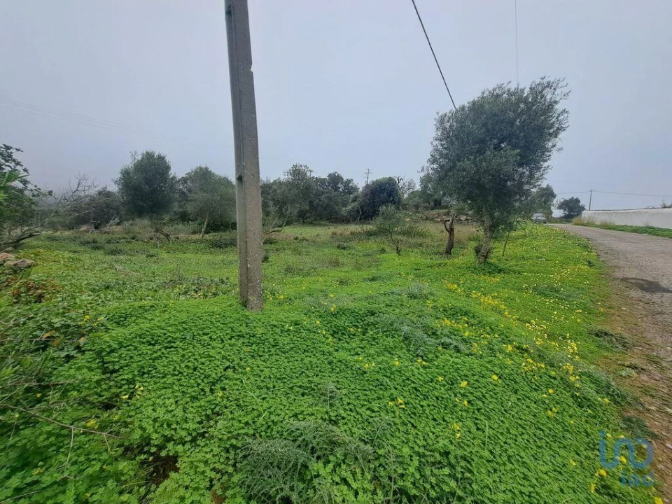 Terreno para Venda em São Brás de Alportel Foto 3