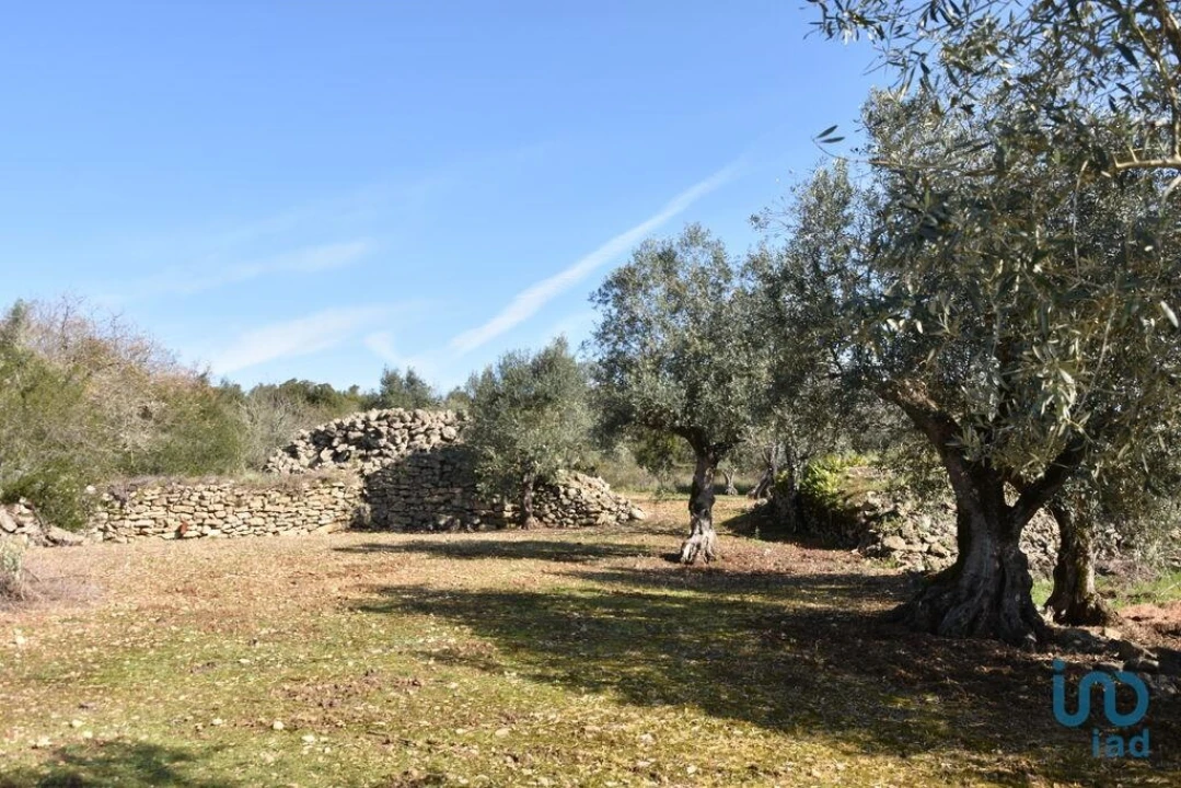 Terreno para Venda em Chãos Foto 13