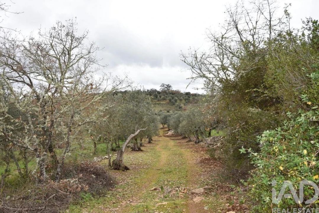 Terreno para Venda em Chãos Foto 29