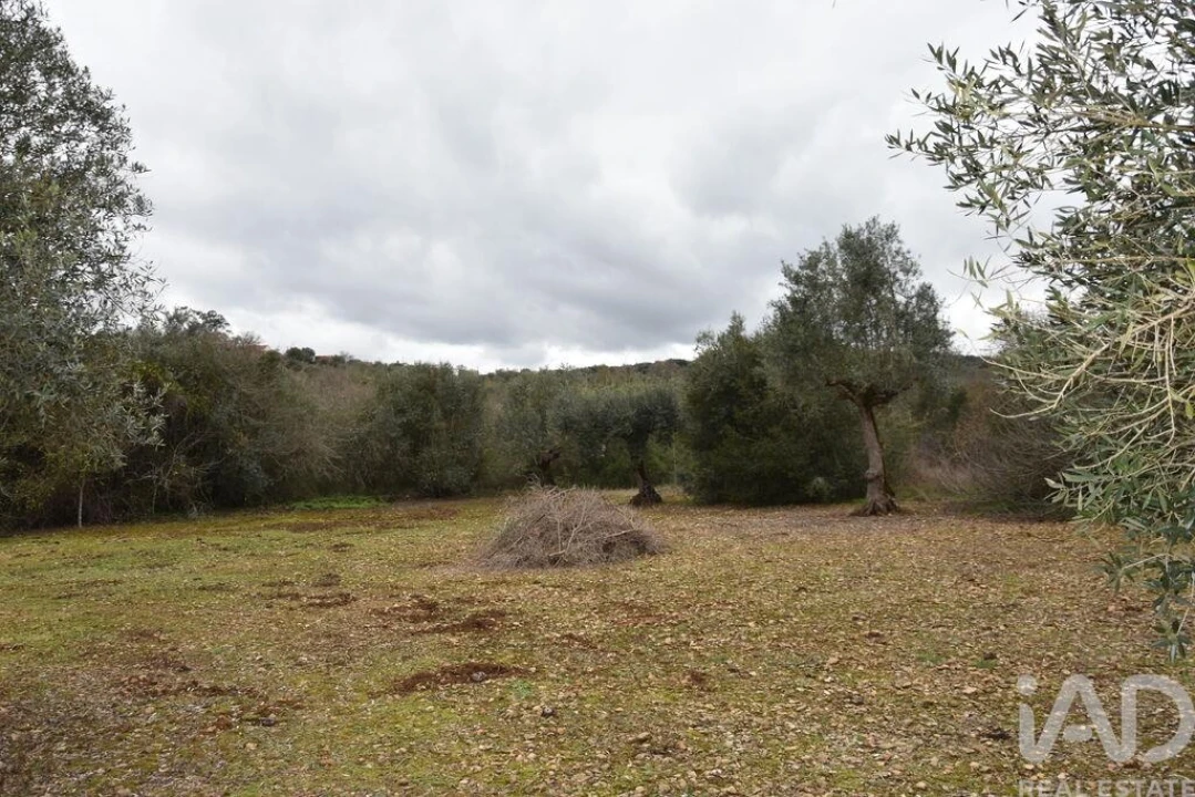 Terreno para Venda em Chãos Foto 21