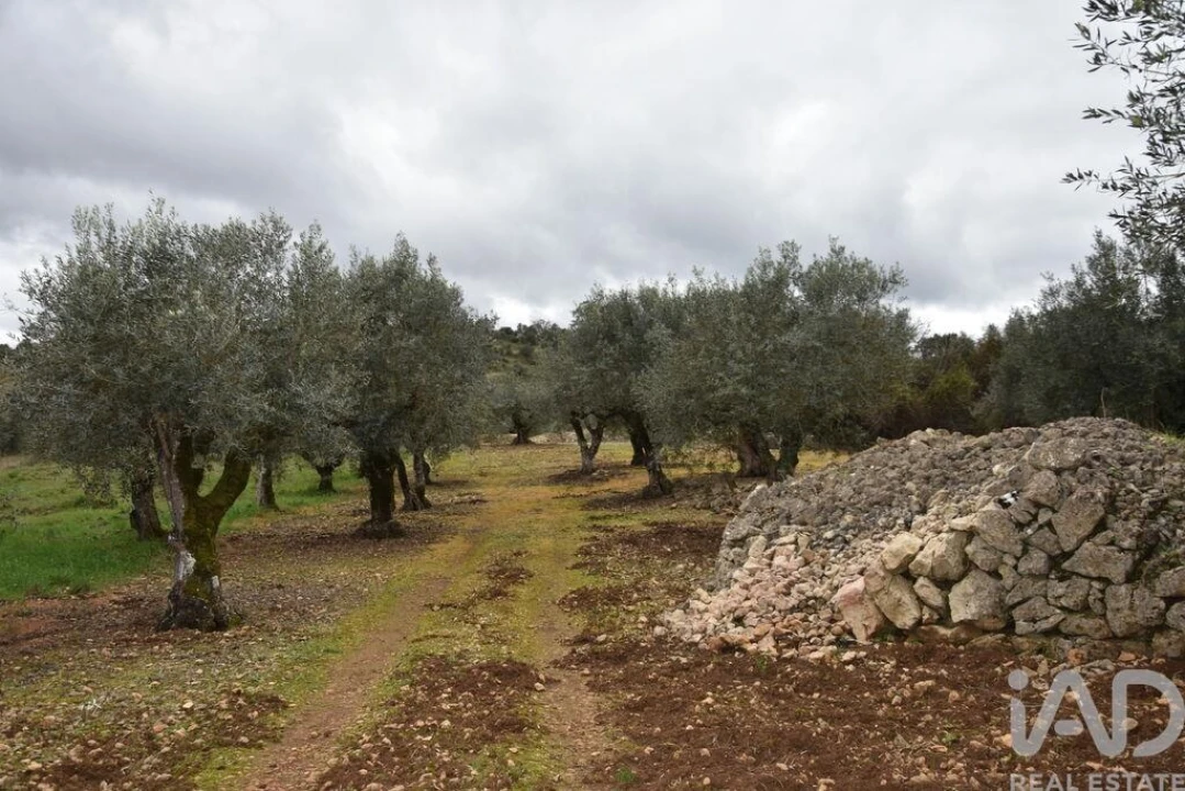 Terreno para Venda em Chãos Foto 25