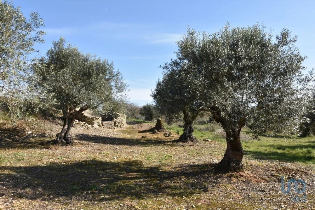 Terreno para Venda em Chãos Foto 6