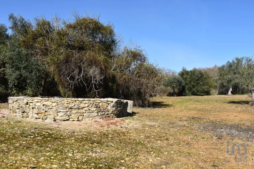 Terreno para Venda em Chãos Foto 9