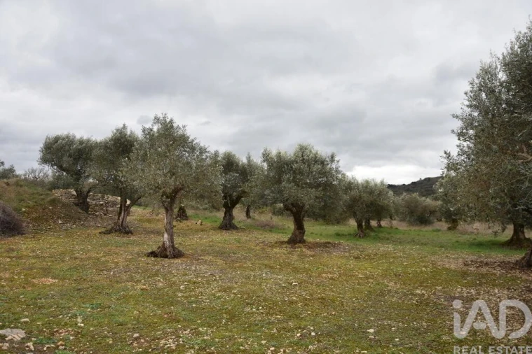 Terreno para Venda em Chãos Foto 17