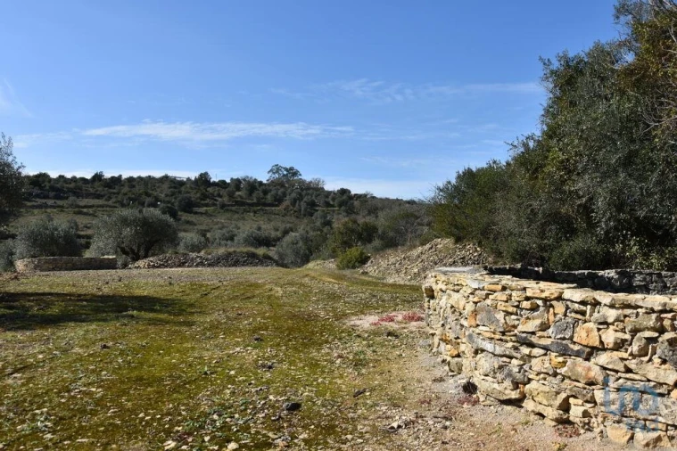 Terreno para Venda em Chãos Foto 15