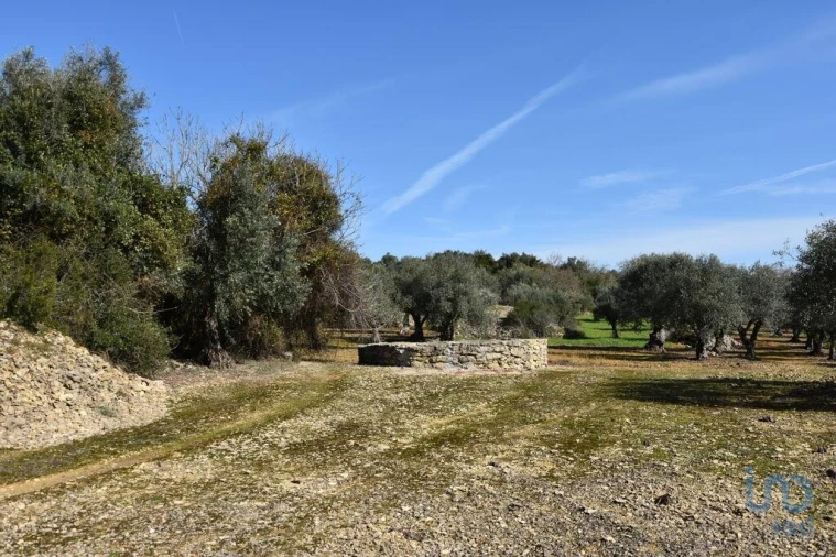 Terreno para Venda em Chãos Foto 8