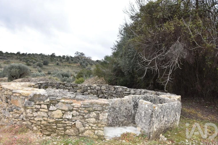 Terreno para Venda em Chãos Foto 20