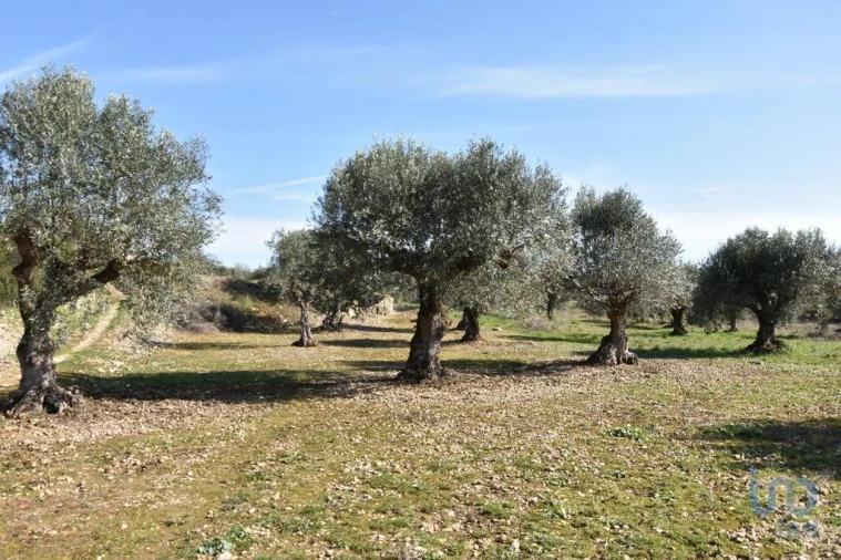 Terreno para Venda em Chãos Foto 4