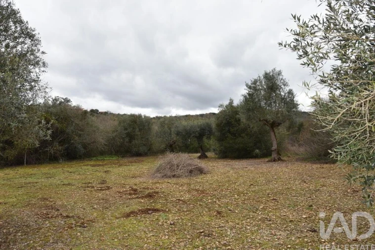 Terreno para Venda em Chãos Foto 21