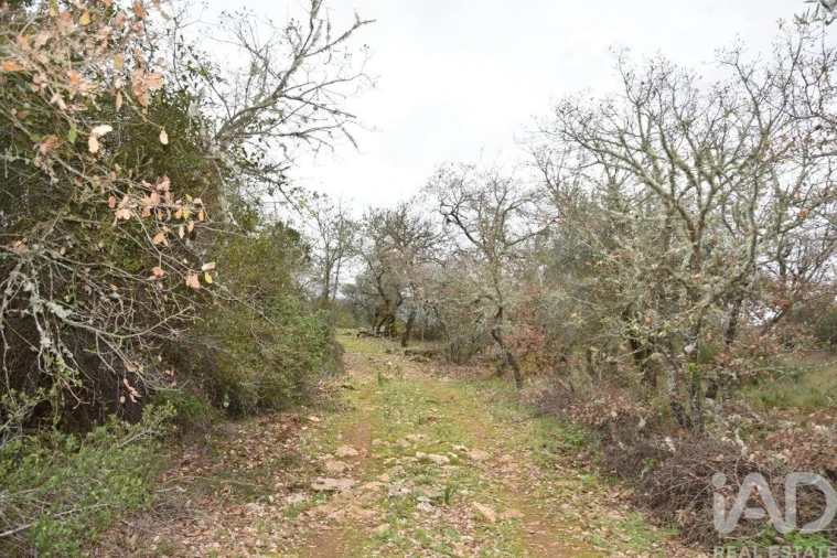 Terreno para Venda em Chãos Foto 28